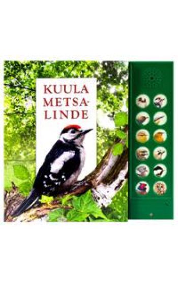 Kuula metsalinde