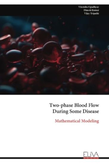 Two-phase Blood Flow  During Some Disease