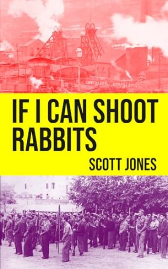 If I Can Shoot Rabbits