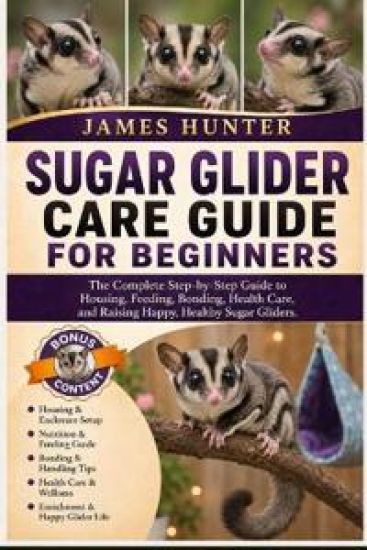 Sugar Glider Care Guide for Beginners