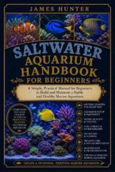 Saltwater Aquarium Handbook for Beginners