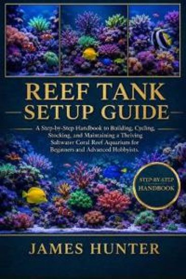 Reef Tank Setup Guide
