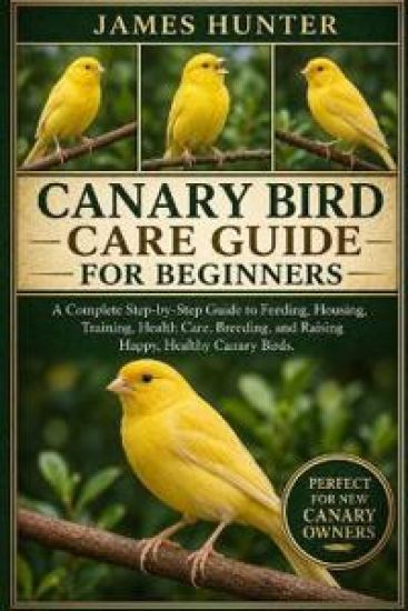 Canary Bird Care Guide for Beginners