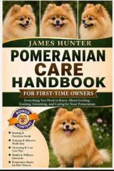 Pomeranian Care Handbook for First-Time Owners