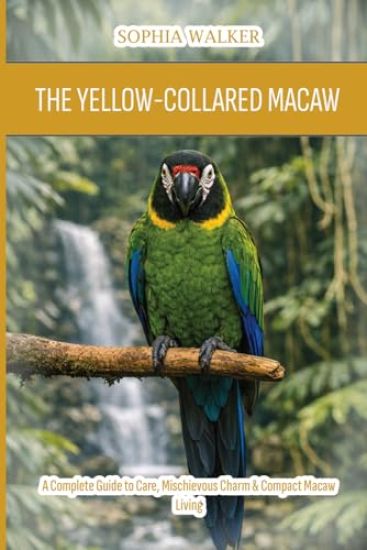 The Yellow-Collared Macaw