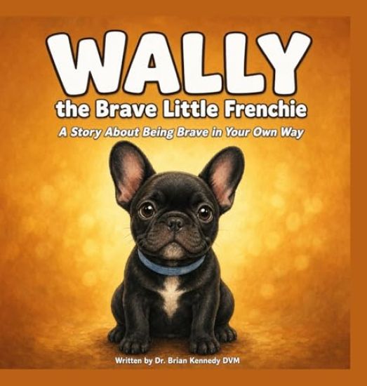 Wally The Brave Little Frenchie