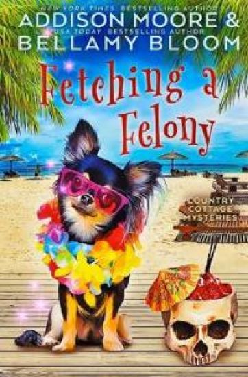 Fetching a Felony