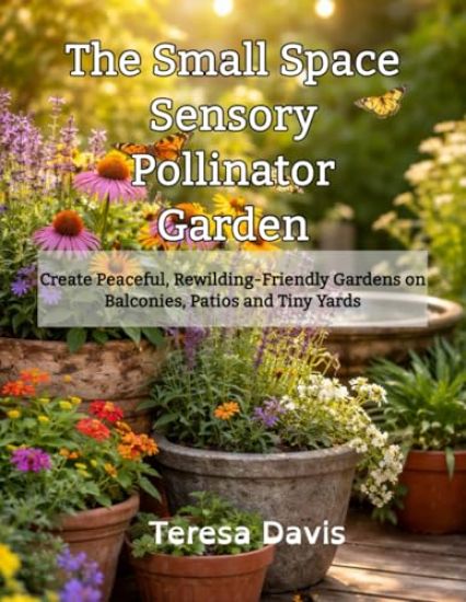 The Small Space Sensory Pollinator Garden