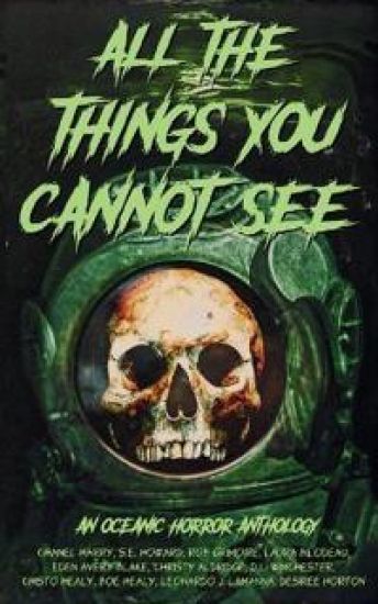 All the Things You Cannot See