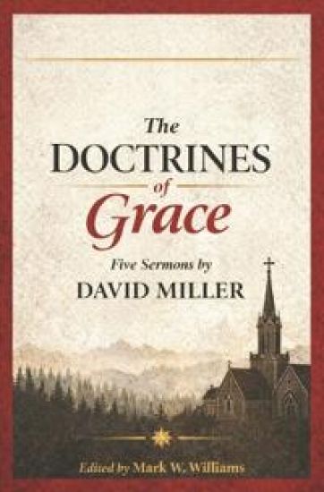 The Doctrines of Grace – David Miller, kirjan kansikuva