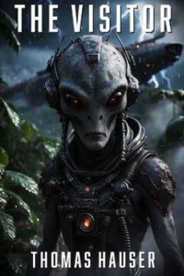 The Visitor