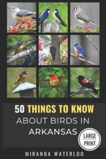 50 Things to Know about Birds in Arkansas Large Print