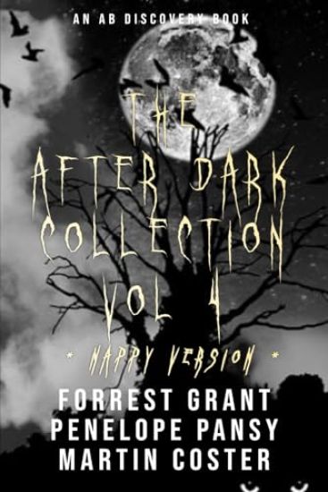 The After Dark Collection Vol 4 (Nappy Version)
