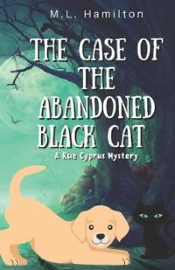 The Case of the Abandoned Black Cat