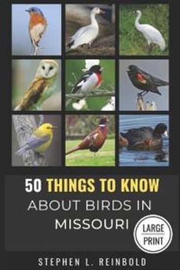50 Things to Know About Birds in Missouri