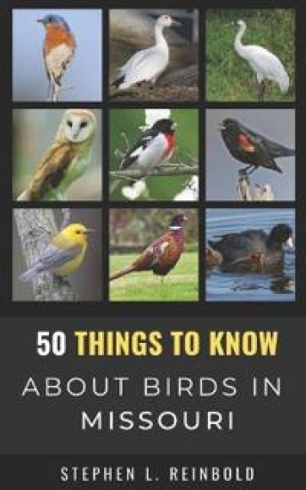 50 Things to Know About Birds in Missouri