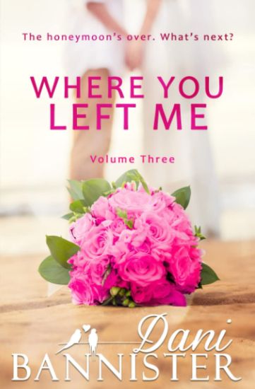 Where You Left Me, Vol. 3