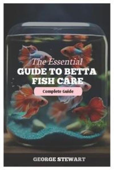 The Essential Guide to Betta Fish Care