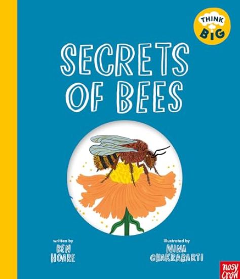 Think Big: Secrets of Bees