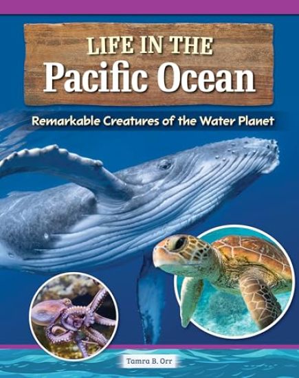 Magnificent Creatures of the Pacific Ocean