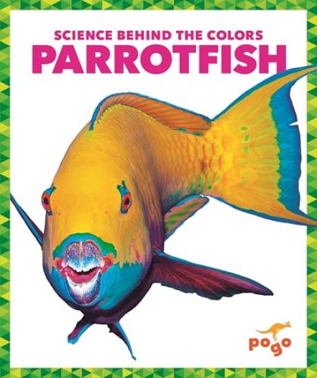 Parrotfish