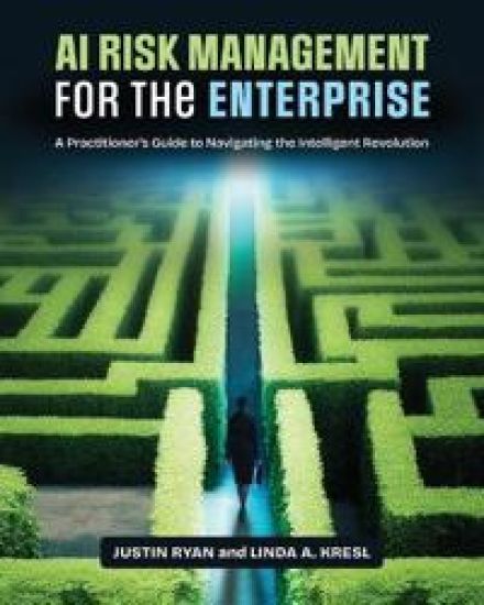 AI Risk Management for the Enterprise