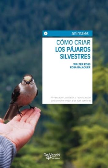 Cómo criar los pájaros silvestres