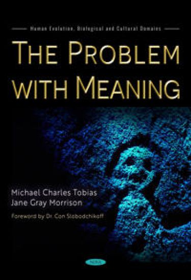 The Problem with Meaning