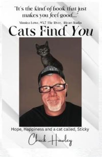 Cats Find You