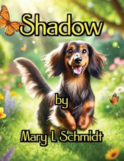 Shadow