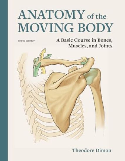Anatomy of the Moving Body