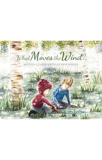 What Moves the Wind?